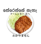 国産鶏のチキンカツ【シンハラ語】（個別スタンプ：7）