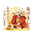 名入れ☆癒しプードルの毎年使える年賀状（個別スタンプ：2）
