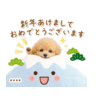名入れ☆癒しプードルの毎年使える年賀状（個別スタンプ：4）