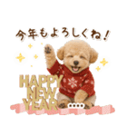 名入れ☆癒しプードルの毎年使える年賀状（個別スタンプ：6）