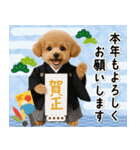 名入れ☆癒しプードルの毎年使える年賀状（個別スタンプ：7）