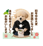名入れ☆癒しプードルの毎年使える年賀状（個別スタンプ：12）