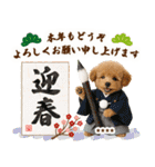 名入れ☆癒しプードルの毎年使える年賀状（個別スタンプ：16）