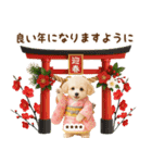 名入れ☆癒しプードルの毎年使える年賀状（個別スタンプ：17）