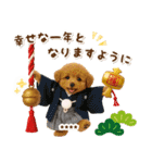 名入れ☆癒しプードルの毎年使える年賀状（個別スタンプ：18）