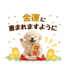 名入れ☆癒しプードルの毎年使える年賀状（個別スタンプ：19）