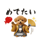 名入れ☆癒しプードルの毎年使える年賀状（個別スタンプ：23）