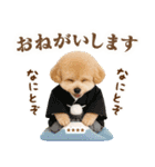 名入れ☆癒しプードルの毎年使える年賀状（個別スタンプ：24）