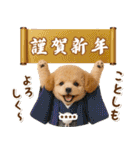 名入れ☆癒しプードルの毎年使える年賀状（個別スタンプ：26）