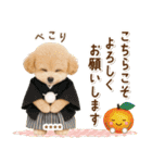 名入れ☆癒しプードルの毎年使える年賀状（個別スタンプ：28）