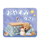 名入れ☆癒しプードルの毎年使える年賀状（個別スタンプ：30）