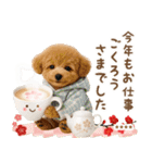 名入れ☆癒しプードルの毎年使える年賀状（個別スタンプ：34）