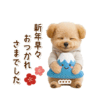 名入れ☆癒しプードルの毎年使える年賀状（個別スタンプ：35）