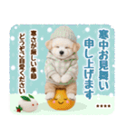 名入れ☆癒しプードルの毎年使える年賀状（個別スタンプ：37）