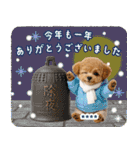 名入れ☆癒しプードルの毎年使える年賀状（個別スタンプ：39）