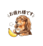 チョコタンダックス りくくん（個別スタンプ：2）