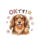 チョコタンダックス りくくん（個別スタンプ：3）