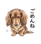 チョコタンダックス りくくん（個別スタンプ：9）