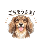 チョコタンダックス りくくん（個別スタンプ：10）