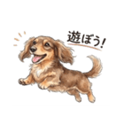 チョコタンダックス りくくん（個別スタンプ：11）