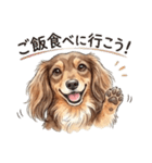 チョコタンダックス りくくん（個別スタンプ：14）