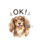 チョコタンダックス りくくん（個別スタンプ：18）