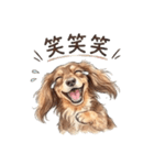 チョコタンダックス りくくん（個別スタンプ：19）