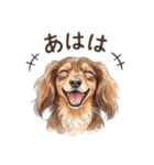 チョコタンダックス りくくん（個別スタンプ：20）