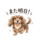 チョコタンダックス りくくん（個別スタンプ：22）