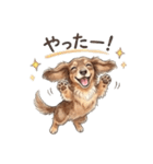 チョコタンダックス りくくん（個別スタンプ：27）