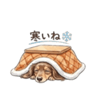 チョコタンダックス りくくん（個別スタンプ：28）