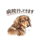 チョコタンダックス りくくん（個別スタンプ：31）