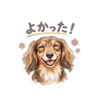 チョコタンダックス りくくん（個別スタンプ：33）