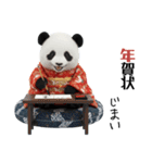 パンダの赤ちゃん⭐️お正月＆クリスマス（個別スタンプ：8）