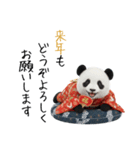 パンダの赤ちゃん⭐️お正月＆クリスマス（個別スタンプ：11）