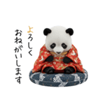 パンダの赤ちゃん⭐️お正月＆クリスマス（個別スタンプ：20）