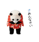 パンダの赤ちゃん⭐️お正月＆クリスマス（個別スタンプ：23）