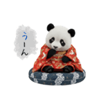 パンダの赤ちゃん⭐️お正月＆クリスマス（個別スタンプ：26）