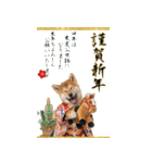 動く柴犬♡あけおめ年賀状（個別スタンプ：1）