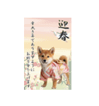 動く柴犬♡あけおめ年賀状（個別スタンプ：3）