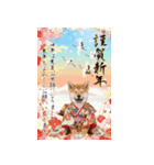 動く柴犬♡あけおめ年賀状（個別スタンプ：4）