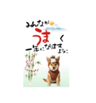 動く柴犬♡あけおめ年賀状（個別スタンプ：6）