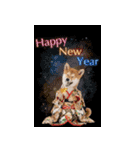 動く柴犬♡あけおめ年賀状（個別スタンプ：13）