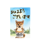 動く柴犬♡あけおめ年賀状（個別スタンプ：17）