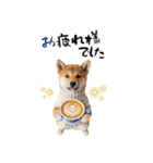 動く柴犬♡あけおめ年賀状（個別スタンプ：21）
