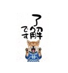 動く柴犬♡あけおめ年賀状（個別スタンプ：22）