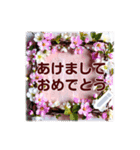 文字入力できる花フレーム♥年賀スタンプも（個別スタンプ：3）