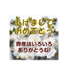 文字入力できる花フレーム♥年賀スタンプも（個別スタンプ：9）