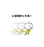 カンフーにゃんこ（個別スタンプ：25）