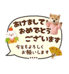 名入れ☆癒し柴犬の毎年使える年賀状（個別スタンプ：10）